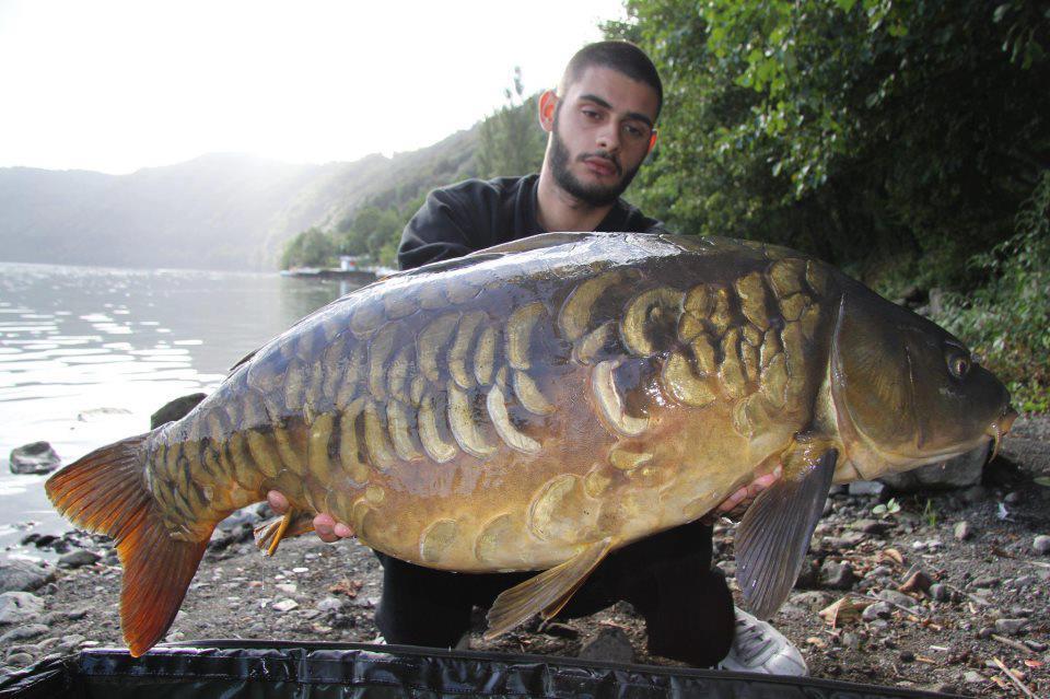 crapi mari - 728023205839247372111556446952n.jpg